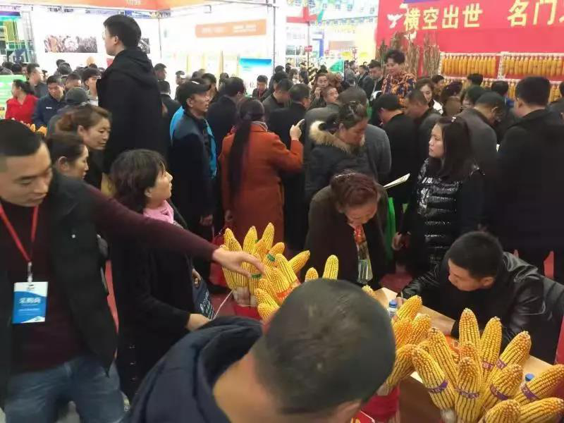 图片24.png